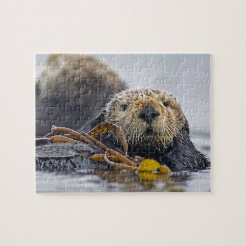 Cute California Sea Otter _ Wildlife Photography Jigsaw Puzzle