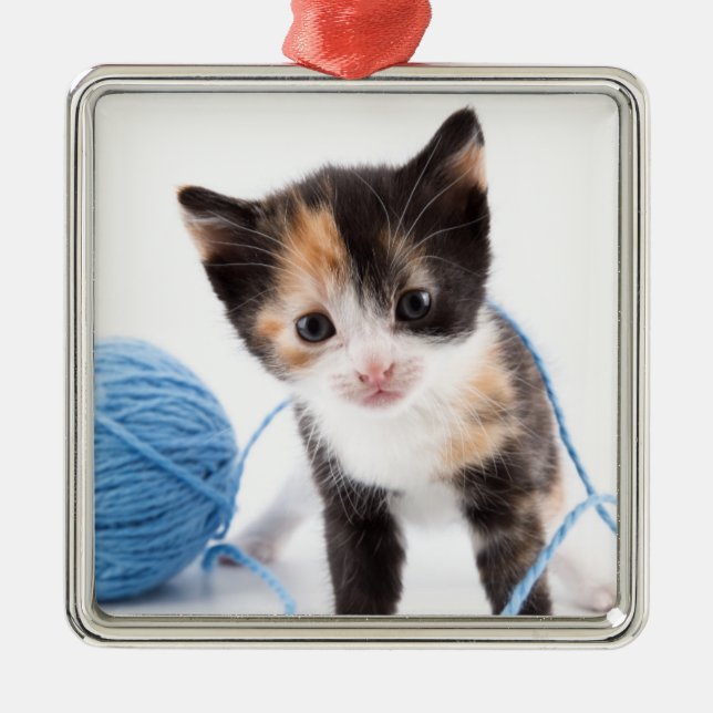 Cute Calypso Kitten and Blue Yarn Metal Ornament (Front)