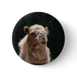 Cute Camel Button