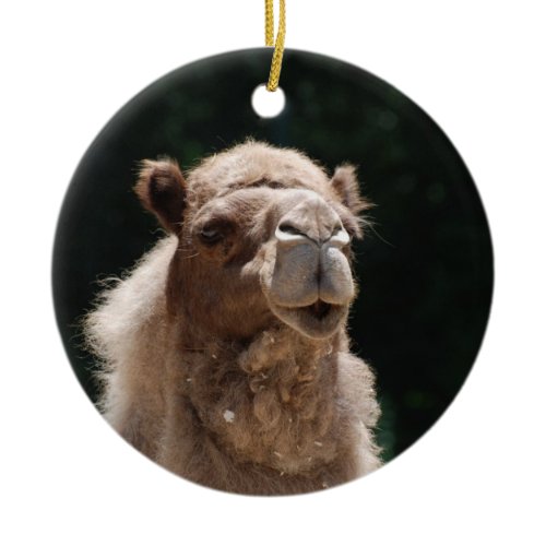 Cute Camel Ceramic Ornament