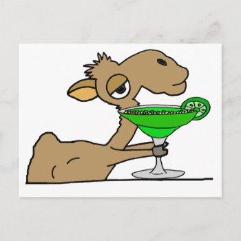Cute Camel Drinking Margarita Cartoon Postcard by patcallum at Zazzle