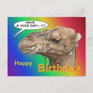 Cute Camel Rainbow Happy Birthday Postcard