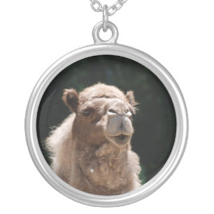 Cute Camel Silver Plated Necklace
