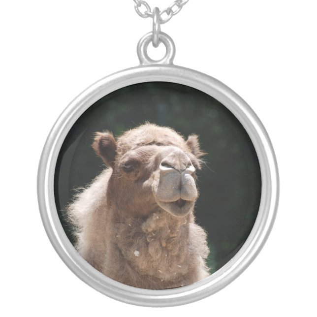 Cute Camel Silver Plated Necklace (Front)