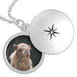 Cute Camel Silver Plated Necklace