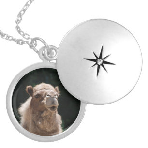 Cute Camel Silver Plated Necklace