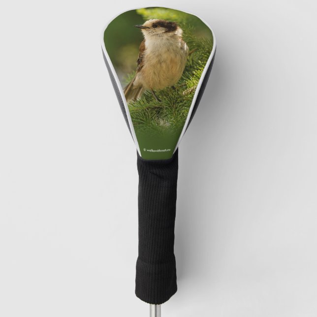 Cute Canada Gray / Grey Jay / Whiskeyjack Golf Head Cover (Front)