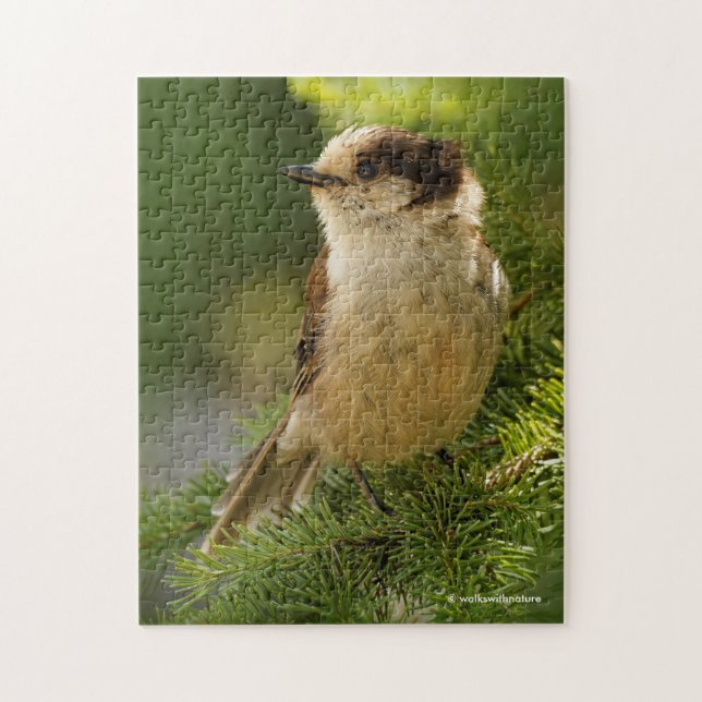 Cute Canada Jay / Grey Jay / Whiskeyjack Jigsaw Puzzle (Vertical)