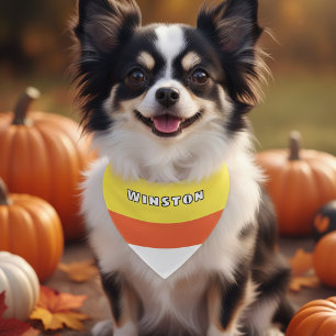 Cute Candy Corn Personalized Dog Pet Bandana Collar
