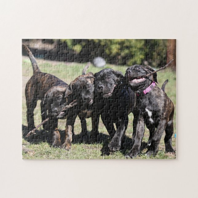 Cute Cane Corso Puppy Jigsaw Puzzle (Horizontal)