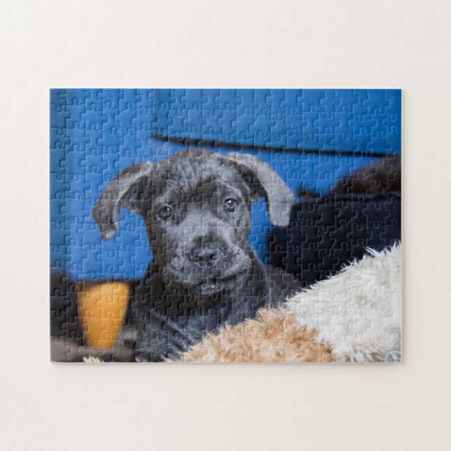 Cute Cane Corso Puppy Jigsaw Puzzle (Horizontal)