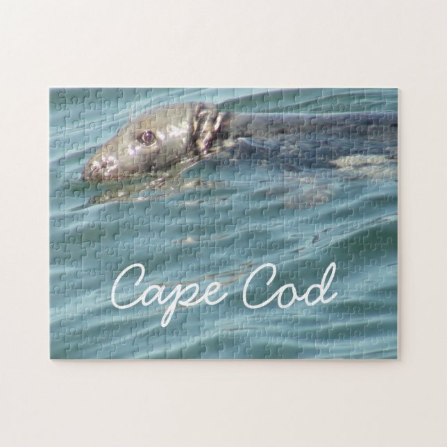 Cute Cape Cod Seal Photography Jigsaw Puzzle (Horizontal)