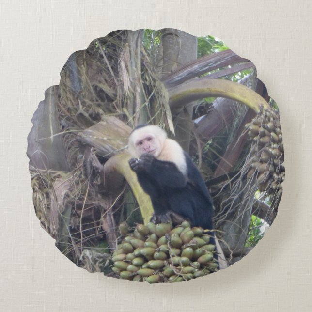 Cute Capuchin Monkey in Tree Round Pillow (Front)