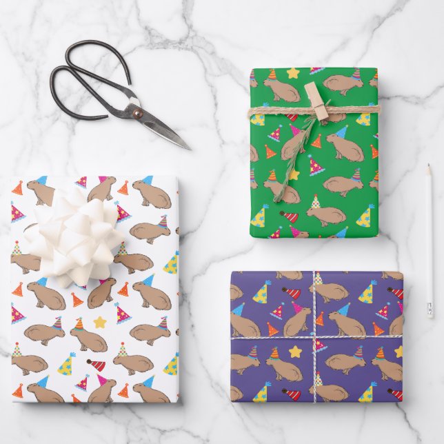 Cute Capybara Hand-Illustrated Whimsical Birthday Wrapping Paper Sheets (Front)