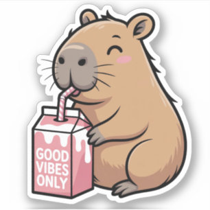 Cute Capybara Vinyl Stickers
