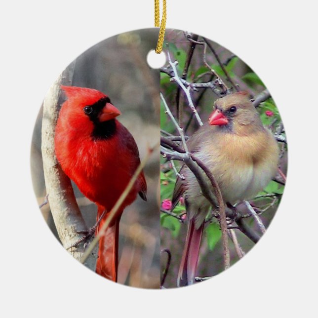 Cute Cardinals Ceramic Ornament (Front)