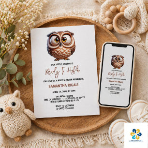 Cute Caricature Owl Baby Boy Shower Invitation