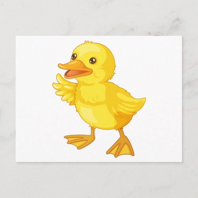 cute cartoon duck postcard (Front)