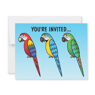 Cute Cartoon Macaw Parrot Birds Invitation