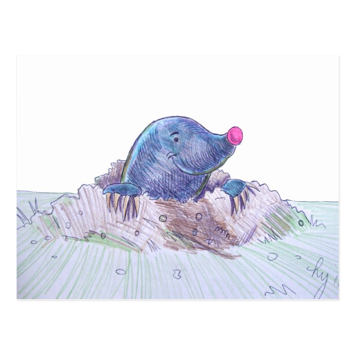 Cute Cartoon Mole and Molehill Post Card