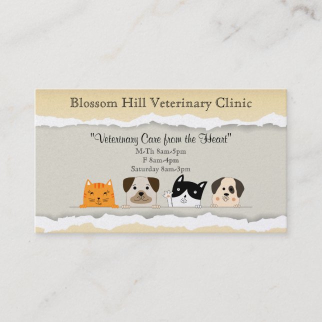 Cute Cartoon Pets Veterinarian Business Card (Front)