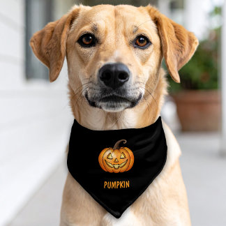 Cute Cartoon Pumpkin And Name Halloween Black Pet Bandana Collar