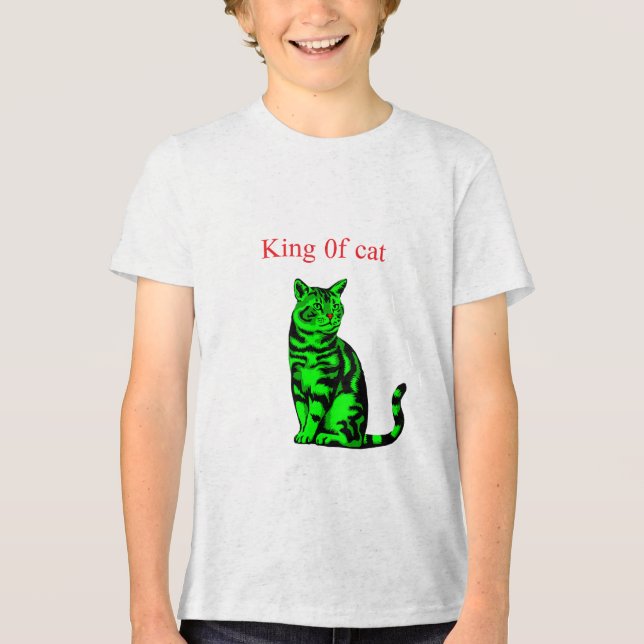 Cute Cartoon T-Shirt for Kids Tri-Blend Shirt (Front)