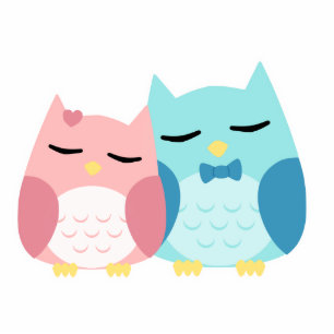 cute cartoon vector owl couple cutout