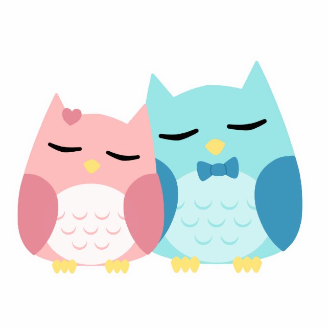 cute cartoon vector owl couple cutout (Front)