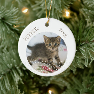 Cute Cat 2 Photos Star Pattern Christmas Ceramic Ornament