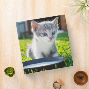 Cute Cat  3 Ring Binder