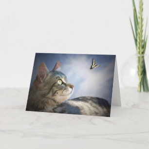 Cute Cat and Butterfly Happy Birthday Card