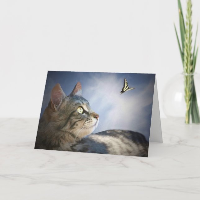 Cute Cat and Butterfly Happy Birthday Card (Front)