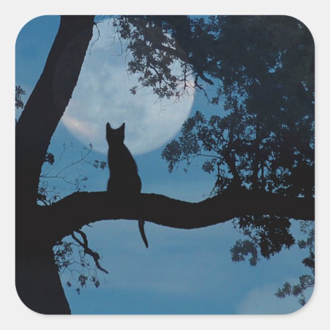 Cute Cat and Moon Stickers (Front)