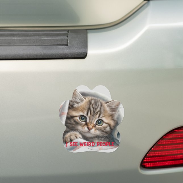 Cute Cat and Weird People Quote Car Magnet (In Situ)