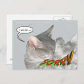 Cute Cat Appology Postcard (Front/Back)