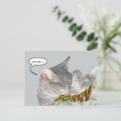 Cute Cat Appology Postcard (Standing Front)