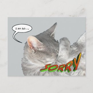 Cute Cat Appology Postcard