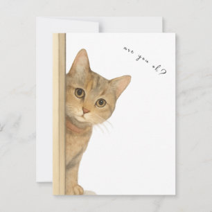Cute Cat Are You OK? Card. Postcard