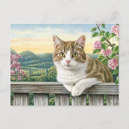 Cute Cat Art Kitten Funny Animal Cats Holiday Postcard