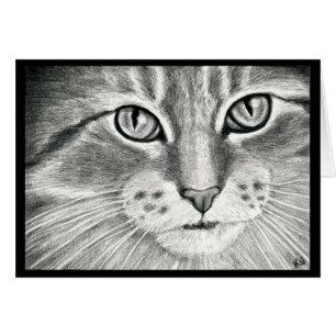Cute cat art realism pencil drawing cards