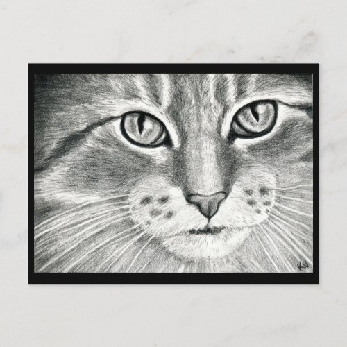 Cute cat art realism pencil drawing postcard