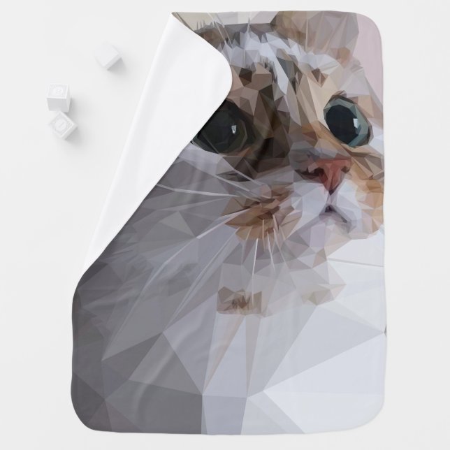 Cute Cat Baby Blanket (In Situ)