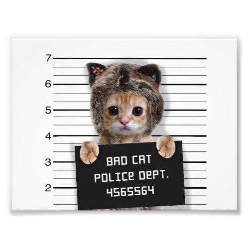 Cute cat bad boy photo print