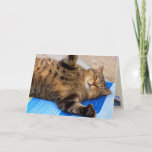 Cute Cat Big Hugs Birthday Card at Zazzle