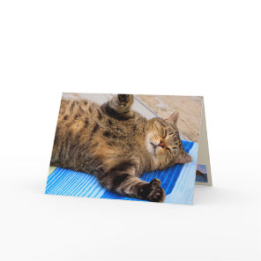 Cute Cat Big Hugs Birthday Card