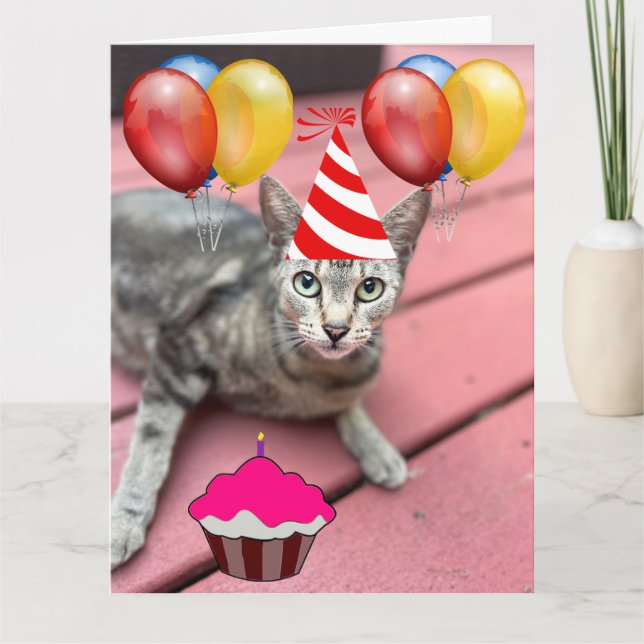 CUTE CAT BIRTHDAY BIG Greeting Card (Front)
