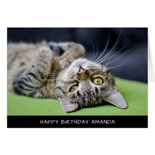 Cute Cat Birthday Card (Front Horizontal)