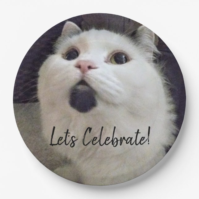 Cute Cat Birthday Party Custom Pet Photo Paper Plates (Front)