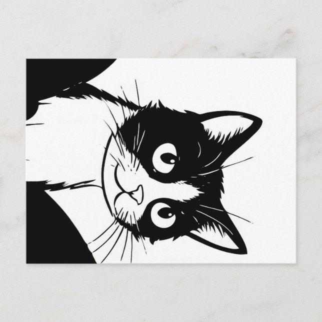 cute cat black white postcard (Front)